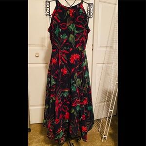 Ladies dress
